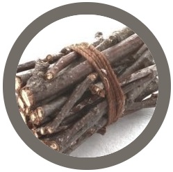 Wood Products