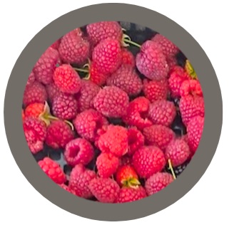 Rubus Idaeus Glen Ample (Summer Fruiting Raspberry)
