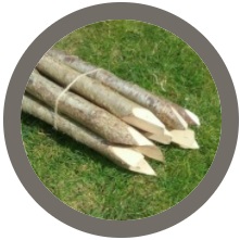 Hazel pea sticks- 5 foot 6 inches long
