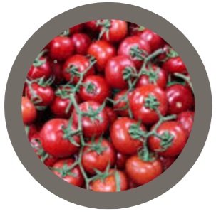 Tomato plant (Christmas Grapes)